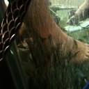 Lynne Elliot-Ling - @lelliotling - Twitter