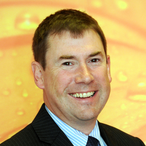 Director of Iconic British Brands Ltd, Deal Opportunities Ltd  
 and Strategic Corporate Finance Transactions Ltd.