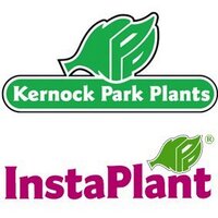 Kernock Park Plants (@kernock) 's Twitter Profile