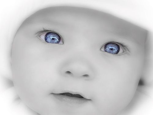 todo son Palabras... palabras de alegria, esperanza tristeza.. Palabras que vuelan buscando hacerte ver, sentir, recordar y olvidar..