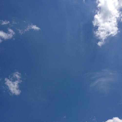 roasturkey's profile picture. 