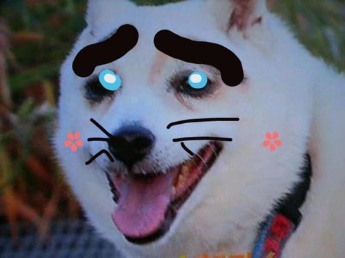 ５月なのに暑すぎる