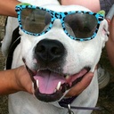 Craig Hutton - @CassNCraig - Twitter