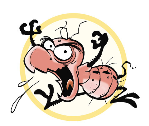 Javi_Pulga's profile picture. Sin rugby y sin cerveza Pulga pierde la cabeza.