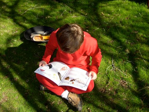 Learning/Reading Interventionist specializing in empowering children with Dyslexia, ADHD. Completing MSW in clinical social work to help youth & young adults