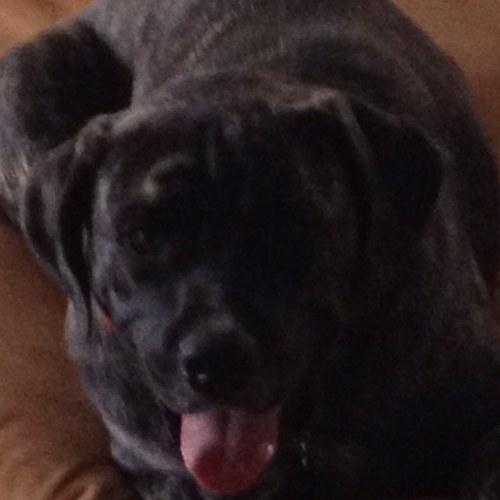 srh791's profile picture. 