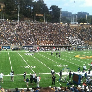 Cal Bears Fan!  Go Sharks and Giants!