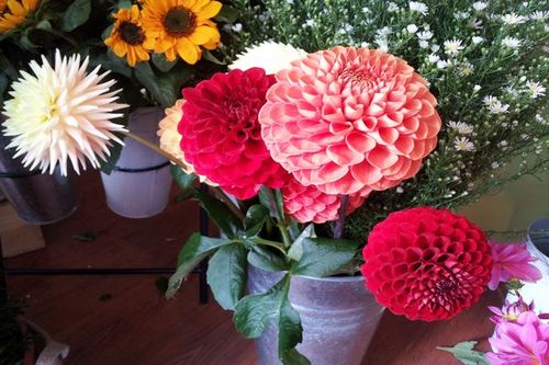 Blooms is the leading boutique florist in Warminster, Wiltshire offering a selection of fresh flowers: we can cater for weddings, parties etc 01985 211456