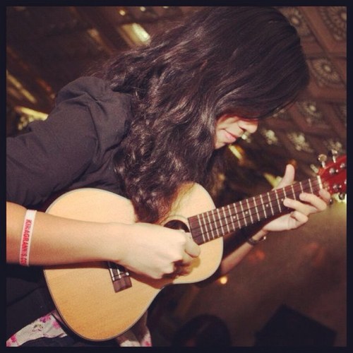 stephulupugus's profile picture. 