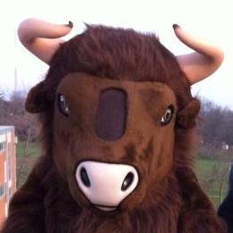 I am the mascot for Bierbaum Elementary school. I like to tweet about what happens at school.