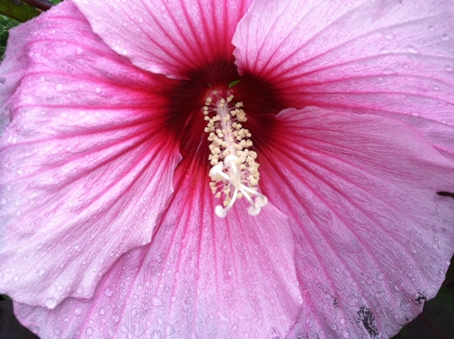Squeezing the most out of every day & spreading optimism along the way.