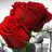 basmh1001's profile image