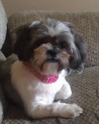 acupp1's profile picture. boring mom of two, but a fun wife to one!