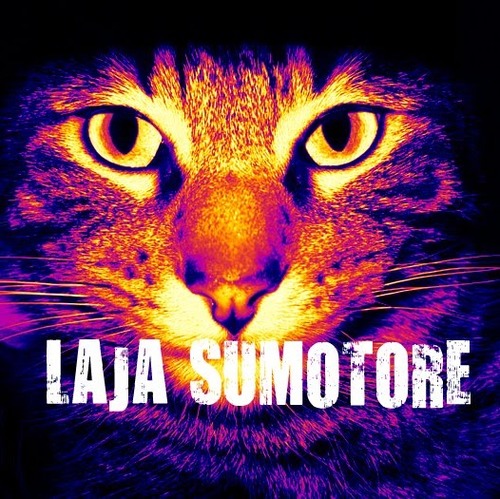 LajaSumotore's profile picture. 