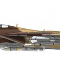 Just some pro-democracy bloke (@f14tomcatpilot) 's Twitter Profile