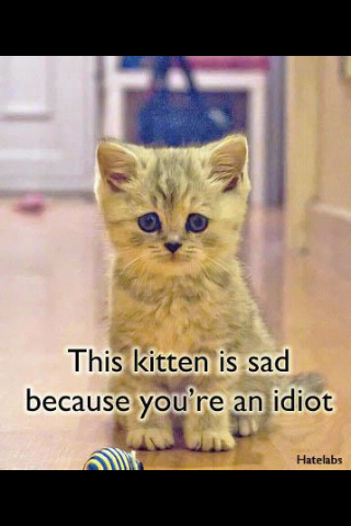 On this account I share all my stupidity. And post lyrics. And rape monkeys. Just kidding. Monkey-rape is not something to make fun of. #lulwut?