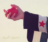 أغَرّد لأجلِ سوريا ، لستُ هنا للتعارف ولا لصراعِ الديوك ! والخاص مُهمَل :)