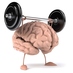 Brain Gain (@braingainlab) Twitter profile photo Brain Gain (@braingainlab) Twitter profile photo