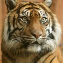 Jeff Wills - @Poppaninge - Twitter