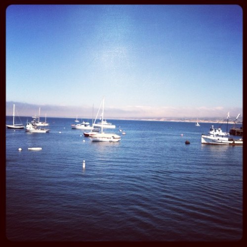 MIISAmbassador's profile picture. The MIIS Student Ambassadors are here to help you gain more insight as to life as a graduate student at The Monterey Institute of International Studies