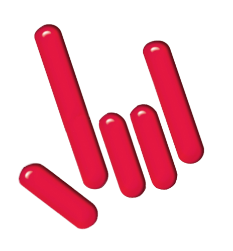 Web4Bands's profile picture. Sei un musicista, hai una band? Questo è il posto giusto per te! Web4Bands è un servizio specializzato nella fornitura di siti web gratuiti a musicisti e band