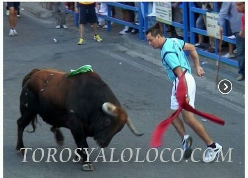victorferalperi's profile picture. luchador, guerrero