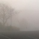 Annie Pearce - @k_peas - Twitter