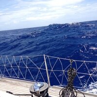 Marc Glimcher (@marcglimcher) 's Twitter Profile