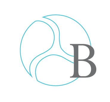 BSG specializes in designing, implementing and managing information technology within the health care industry and the public sector.
