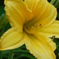 Diana (@writer_4_u) 's Twitter Profile