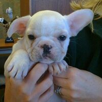 Tena Allen (@tenaallen) 's Twitter Profile