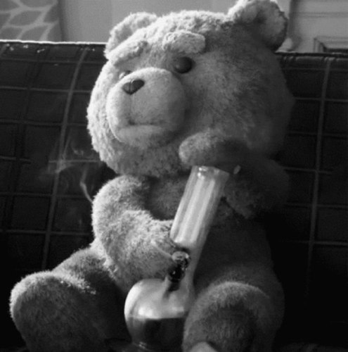 cifra_input's profile picture. Tieso es mi tercer apellido