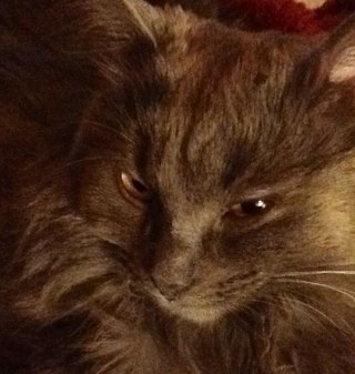 JMA6191967's profile picture. Living with Cystic Fibrosis, dble lung txp recipient, quilter, love life, amazing family & friends