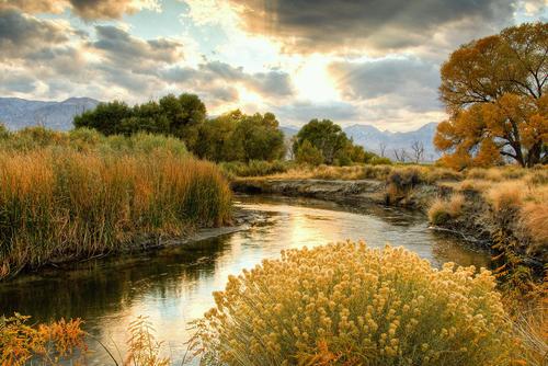 MeaningfulTwee2's profile picture. 