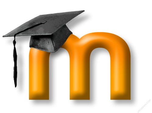 MoodleDeveloper's profile picture. Moodle Developer