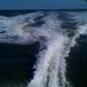 kosnic91's profile picture.