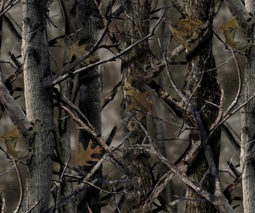 jflagel's profile picture. 