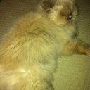 Kevin Aston - @asoblue62 - Twitter