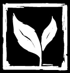 We are Transition Port Angeles, a community-based movement focused on #resilience and #relocalization to build a better future.