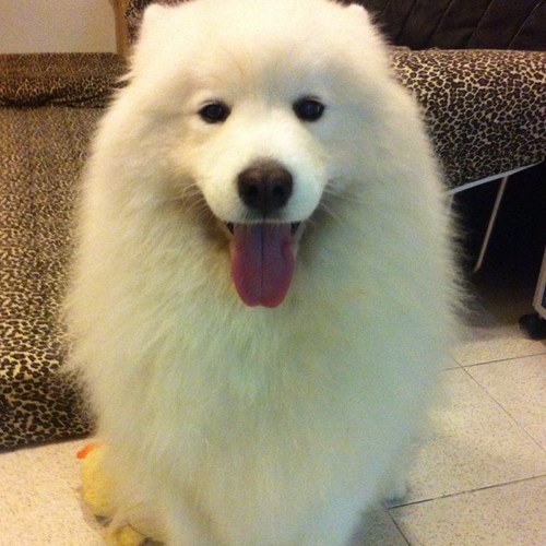 my1386's profile picture. 