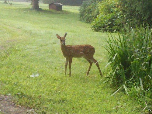 evajpalmer's profile picture. 