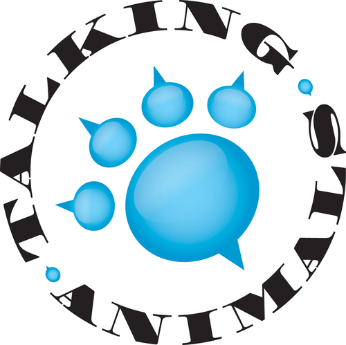 I host “Talking Animals,” a radio show on @wmnf/podcast about animals (https://t.co/h5ZRSz7QtV). I write some pieces about animals for @washingtonpost.