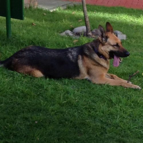 jzeamartelo's profile picture. 