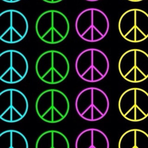 bsofia73's profile picture. 