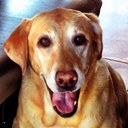 Travis Durham - @TXFlatlander - Twitter