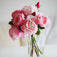 ساره الفالح (@sarah_9a) Twitter profile photo