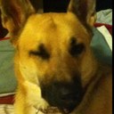 Jack Dinsmore - @dinsy0925 - Twitter