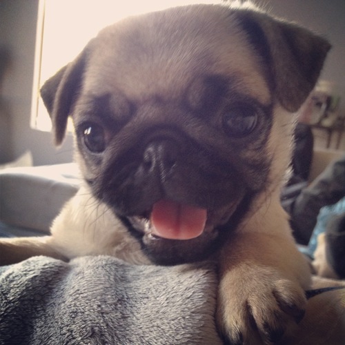 sparkee23's profile picture. 