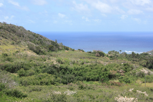 Caribbean_Ian's profile picture. 