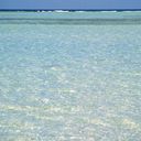 Noelia Smith - @NoeliaSmith3 - Twitter